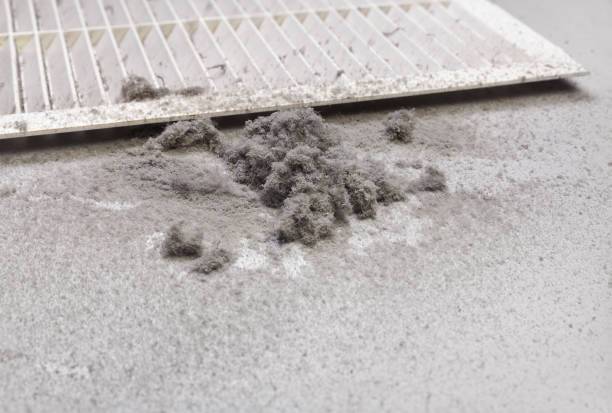 Best Local Air Duct Cleaning Services  in Murphy, MO