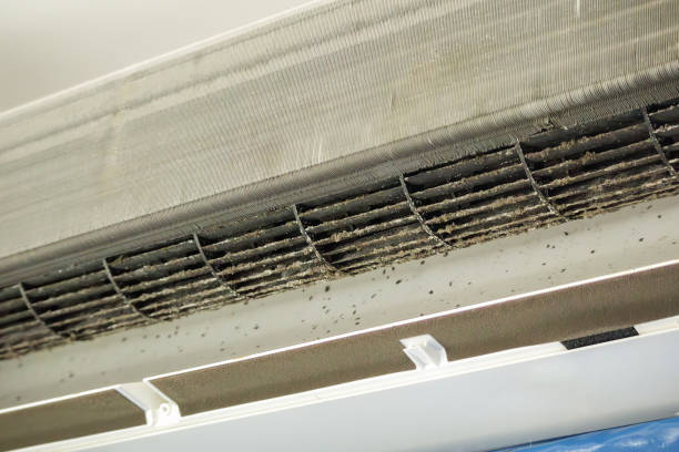 Best HVAC Duct Inspection Services  in Murphy, MO